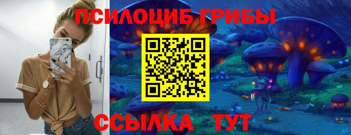Псилоцибиновые грибы Psilocybine cubensis Ялуторовск