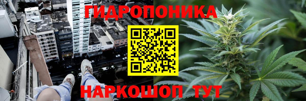 Каннабис Amnesia Ялуторовск